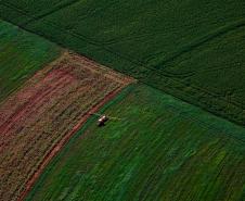 Dados federais confirmam liderança do Paraná na regularização ambiental rural do País