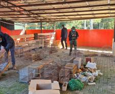 PMPR e IAT apreendem 95 aves e aplicam mais de R$ 400 mil em multas em Guarapuava