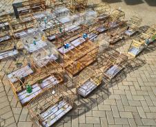 PMPR e IAT apreendem 95 aves e aplicam mais de R$ 400 mil em multas em Guarapuava