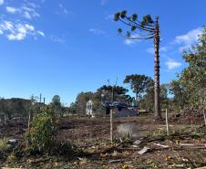 Simepar confirma tornado da categoria F2 em Reserva; ventos chegaram a 200 km/h