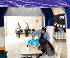 Em um mês, Vet-Móvel registra 32,3 mil agendamentos e avança para mais cidades do Paraná