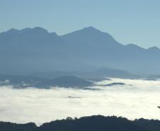 Edição 2026 do Selo Clima Paraná alcançou 382 participantes, 22% a mais do que no ano passado