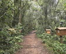 IAT divulga novo horário de funcionamento do Parque Estadual da Serra da Baitaca
