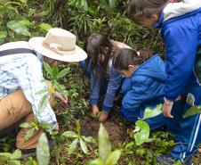 Dia do Educador Ambiental: Cidadão Sustentável leva formação a 119 municípios do Paraná