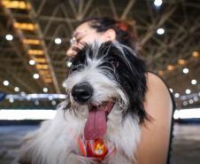 CastraPet beneficiou 15,8 mil animais do Litoral e RMC