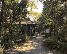 Feriadão na praia? Parque Rio da Onça oferece cinco trilhas para explorar a Mata Atlântica