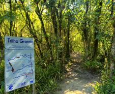 Feriadão na praia? Parque Rio da Onça oferece cinco trilhas para explorar a Mata Atlântica