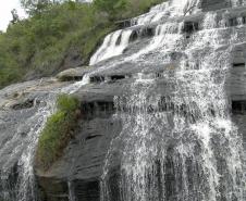 Parque Estadual do Cerrado.Foto: Divulgação IAP