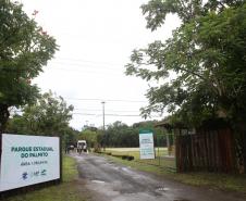 O governador Beto Richa assinou nesta segunda-feira, 5 de Junho, Dia Mundial do Ambiente, dois decretos que ampliam em 4,65 mil hectares a área de proteção ambiental da Mata Atlântica em Paranaguá, no Litoral do Estado. Um decreto criou o Parque Estadual do Palmito e o outro aumentou a área da Estação Ecológica Guaraguaçu. As unidades são integradas, formam um corredor ambiental e são, ambas gerenciadas pelo Instituto Ambiental do Paraná (IAP). Paranaguá, 05/06/2017.Foto: Jaelson Lucas/ANPr