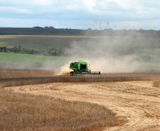 O Governo do Paraná executou uma série de medidas e capacitou 1,5 mil técnicos para auxiliar e orientar os proprietários de terra do Estado a fazer o Cadastro Ambiental Rural (CAR), que é uma ação obrigatória para o cumprimento do novo Código Florestal brasileiro. Foto Jonas Oliveira