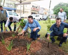 Governo promove soltura de peixes e plantio de árvores no Interior
