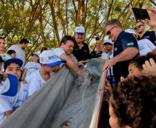 Governo promove soltura de peixes e plantio de árvores no Interior
