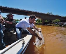 Governo promove soltura de peixes e plantio de árvores no Interior