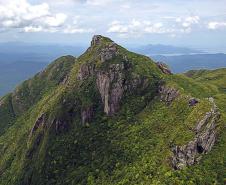 Rota do Pinhão oferece diversidade de atrações turísticas