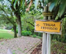 Paraná tem boas opções de passeio para aproveitar o Inverno