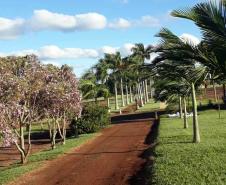 15 parques estaduais oferecem atividades especiais no domingo