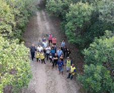 Campanha leva 5,6 mil pessoas aos parques estaduais do Paraná