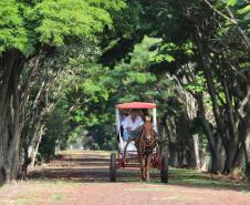 Turismo rural conquista visitantes em diversas regiões do Estado