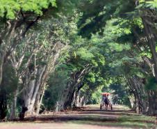 Turismo rural conquista visitantes em diversas regiões do Estado