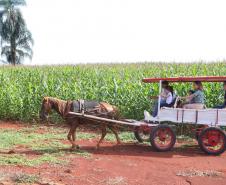 Turismo rural conquista visitantes em diversas regiões do Estado