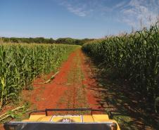 Turismo rural conquista visitantes em diversas regiões do Estado