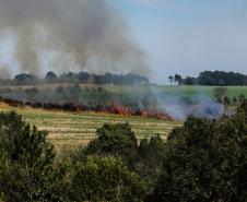 Bombeiros reforçam alertas para evitar queimadas
