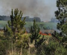 Bombeiros reforçam alertas para evitar queimadas