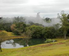 Jardim Botânico de Londrina