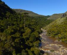 Campos Gerais têm natureza, tropeirismo e cultura europeia