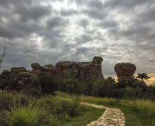 Campos Gerais têm natureza, tropeirismo e cultura europeia