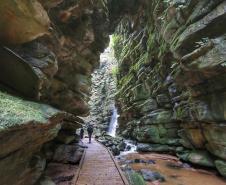 Campos Gerais têm natureza, tropeirismo e cultura europeia