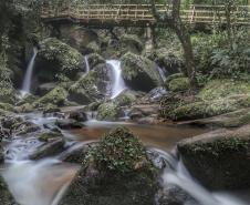 Campos Gerais têm natureza, tropeirismo e cultura europeia