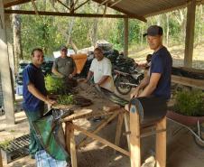 Governo do Estado inicia programa de incentivo à arborização
