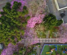 Primavera começa com temperatura amena e sem chuva no Paraná