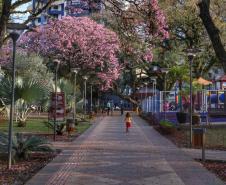 Primavera começa com temperatura amena e sem chuva no Paraná