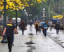 Primavera começa com temperatura amena e sem chuva no Paraná