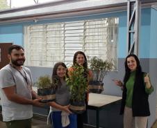 Envio de mudas às escolas mobiliza mais de 3 mil pessoas

