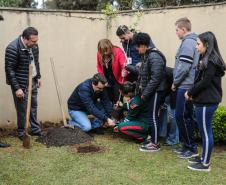 Paraná Mais Verde planta 413 mil árvores nativas