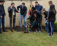 Paraná Mais Verde planta 413 mil árvores nativas