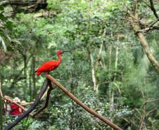10 lugares imperdíveis para conhecer no Paraná
