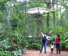 10 lugares imperdíveis para conhecer no Paraná