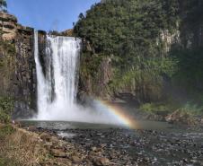 10 lugares imperdíveis para conhecer no Paraná