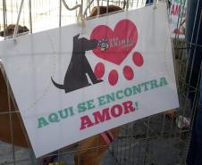 Paraná Pet Amigo resulta em 91 adoções no Estado