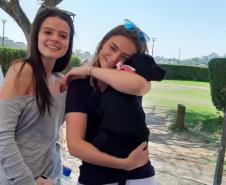 Paraná Pet Amigo resulta em 91 adoções no Estado