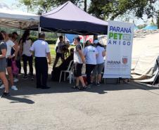 Paraná Pet Amigo resulta em 91 adoções no Estado