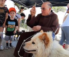 Paraná Pet Amigo resulta em 91 adoções no Estado