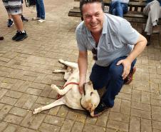 Paraná Pet Amigo resulta em 91 adoções no Estado