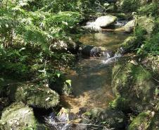 IAP monitora Reservas Particulares do Patrimônio Natural
