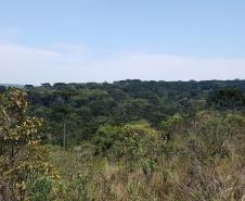 IAP monitora Reservas Particulares do Patrimônio Natural