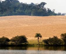 Bacias hidrográficas do Paraná abrigam belezas e potencial turístico